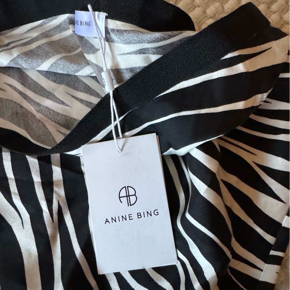 Anine bing silk skirt